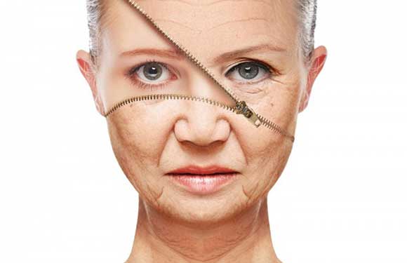 Antioxydants : types et bienfaits, meilleurs aliments/sources et conseils.