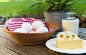 Aliments Riches en Calcium
