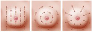 Auto-examen des Seins - Sens de la Palpation