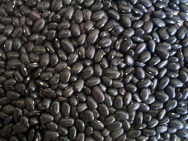 Burn More Calories and Fat with Black Beans