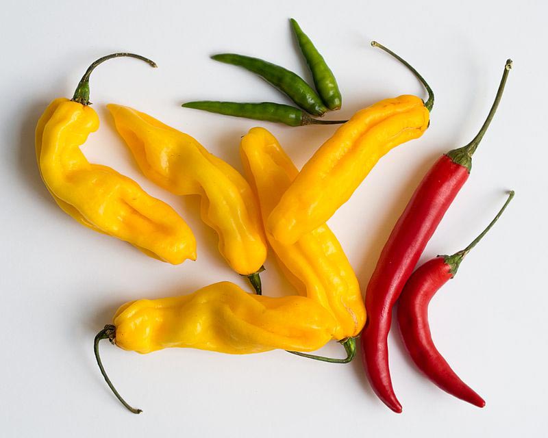 Chili Peppers are a Strong Appetite Suppressant