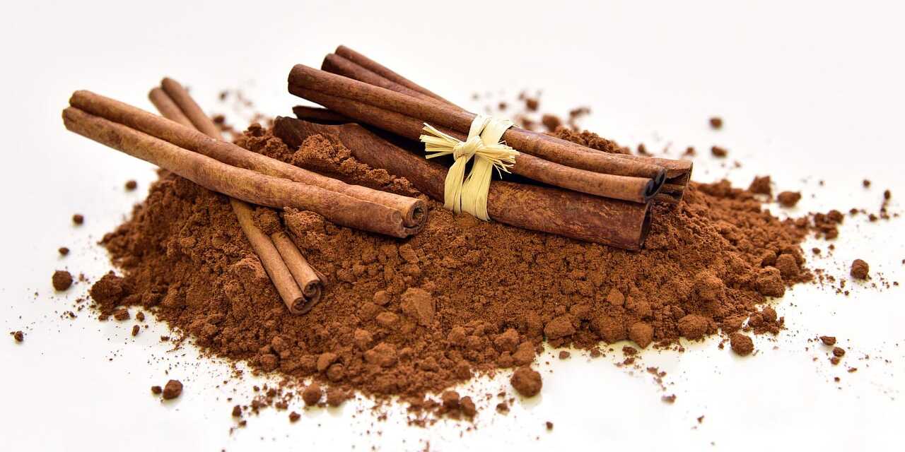 Combattez le Diabète et le Cholestérol avec la Cannelle