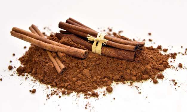 Combattez le Diabète et le Cholestérol avec la Cannelle