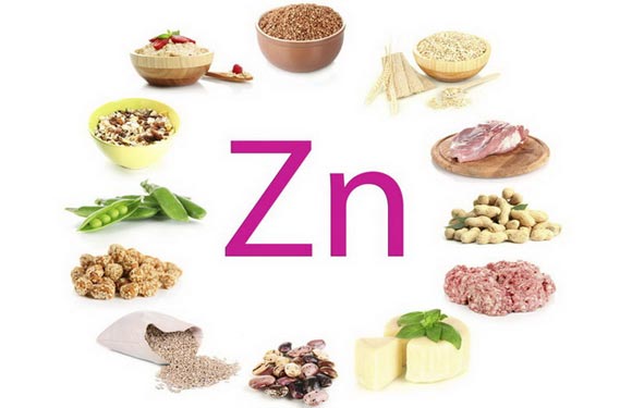 Zinc : Bienfaits, Apports Journaliers, Aliments/Sources et Suppléments de Zinc