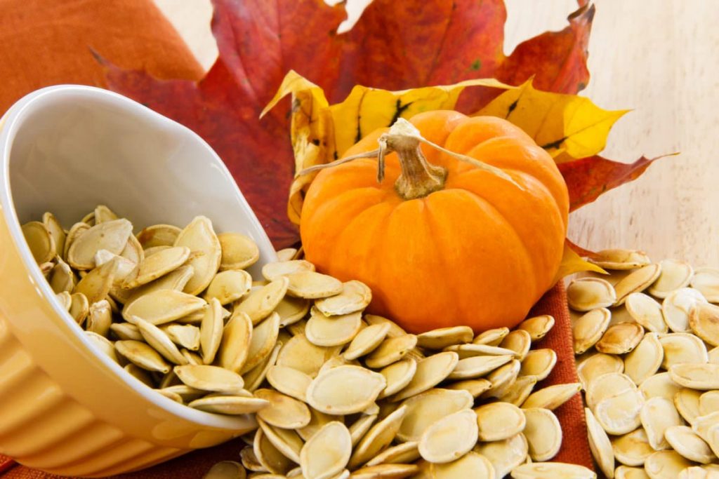 Pumpkin Seeds Enhance Lipolysis
