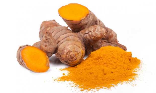 Curcuma : Bienfaits et Propriétés, Comment Choisir et Consommer