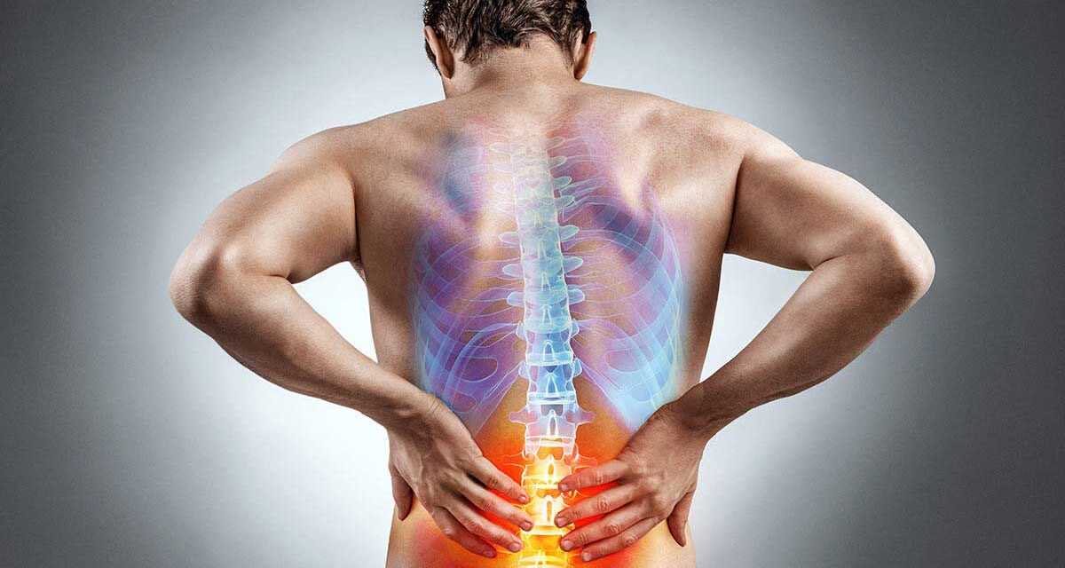 Tout sur la Hernie Discale : Causes et Symptômes – Traitement et Prévention