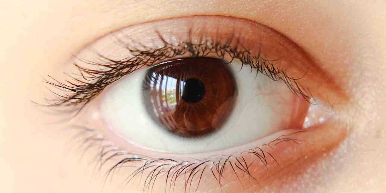 Tout sur le Contour des Yeux : Défauts et Causes – Conseils, Soins et Traitement