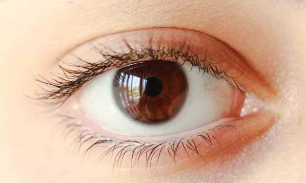 Tout sur le Contour des Yeux : Défauts et Causes – Conseils, Soins et Traitement