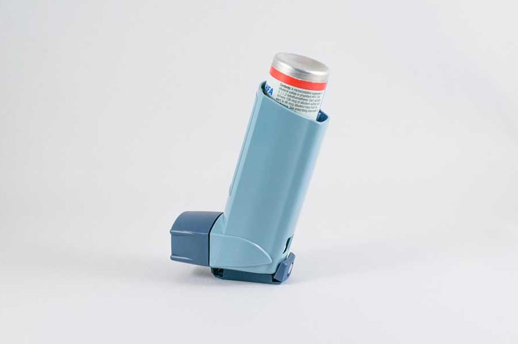 Inhalateurs de poudre sèche pour l'asthme