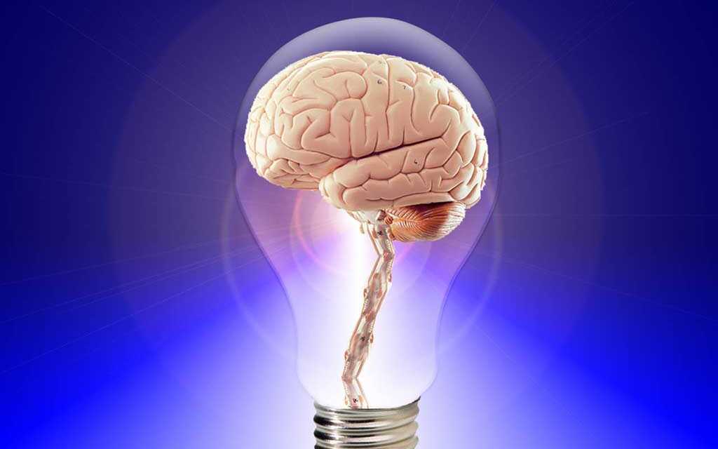 8 Conseils de Neurologues pour Garder Votre Cerveau Jeune et en Santé