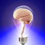 8 Conseils de Neurologues pour Garder Votre Cerveau Jeune et en Santé