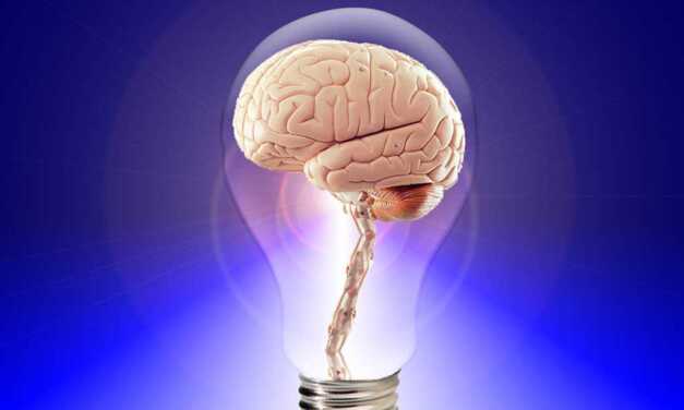 8 Conseils de Neurologues pour Garder Votre Cerveau Jeune et en Santé