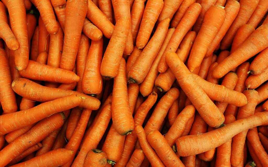Vitamine A : Bienfaits, Carence, Surdosage et Aliments Riches