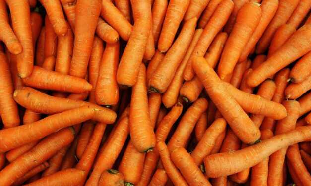 Vitamine A : Bienfaits, Carence, Surdosage et Aliments Riches