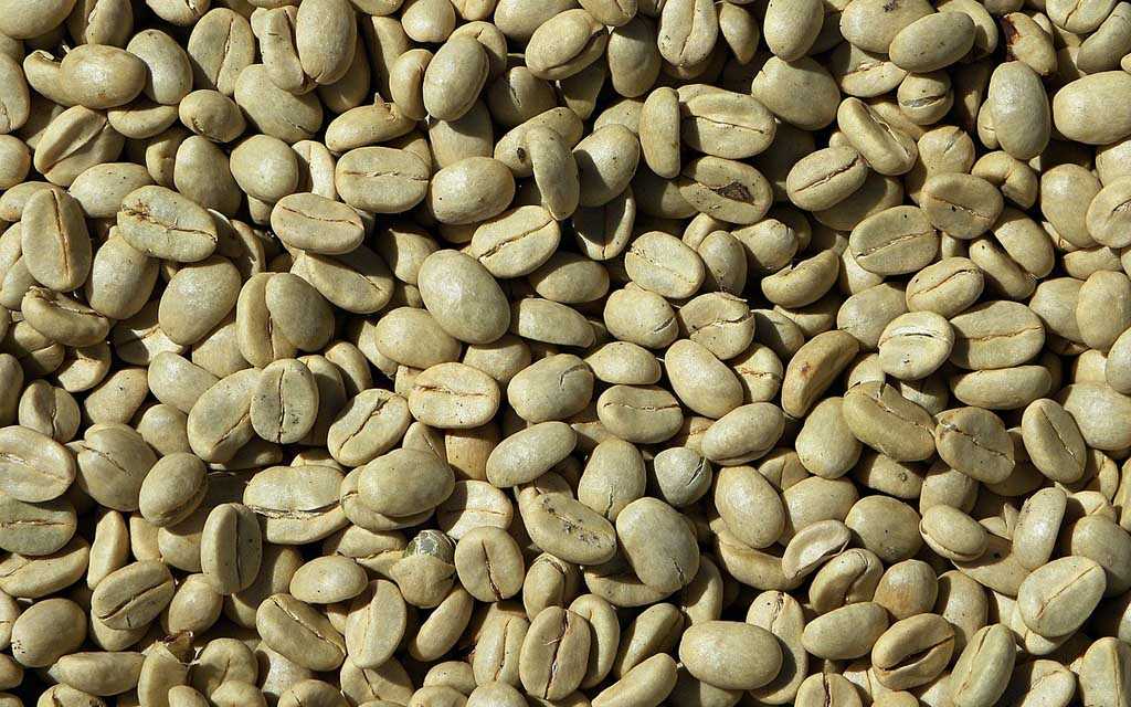 Café Vert Minceur : Bienfaits, Où Trouver, Comment Boire et Consommer