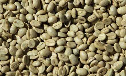 Café Vert Minceur : Bienfaits, Où Trouver, Comment Boire et Consommer