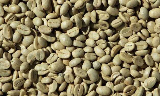 Café Vert Minceur : Bienfaits, Où Trouver, Comment Boire et Consommer