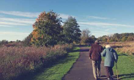 Nos 16 Meilleurs Conseils pour Vivre Longtemps et en Bonne Santé