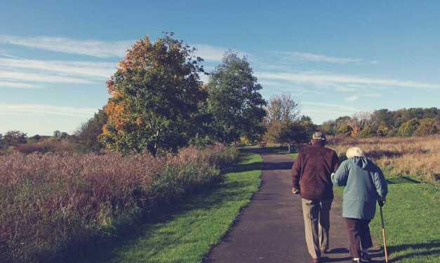 Nos 16 Meilleurs Conseils pour Vivre Longtemps et en Bonne Santé