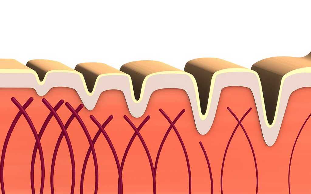 20 Conseils de Dermatologues pour Garder votre Peau Jeune