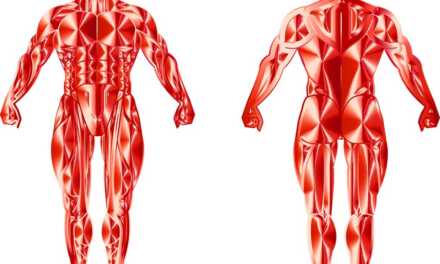 Top 10 des Aliments à Propriétés Anti-inflammatoires