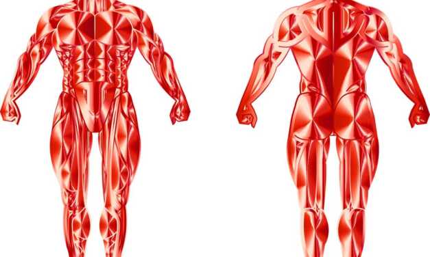 Inflammation Chronique : Symptômes, Dépistage, Consultation et Traitement