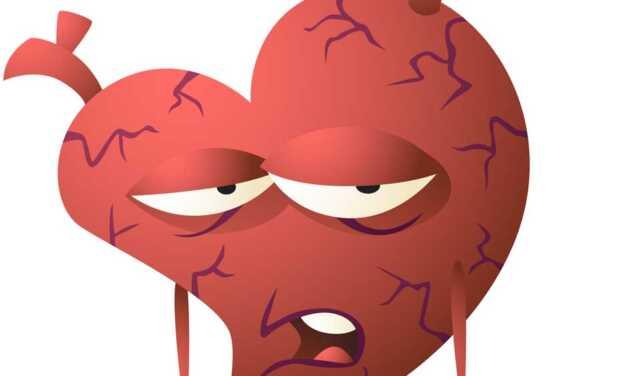 Top 5 des Régimes pour Combattre les Maladies Cardiovasculaires