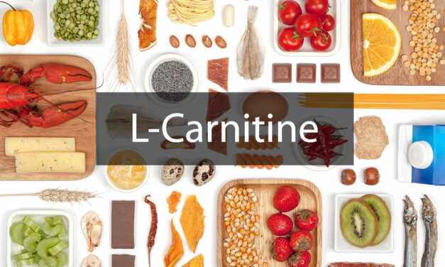 Guide de la L-Carnitine : Bienfaits et Rôles – Sources et Dosage