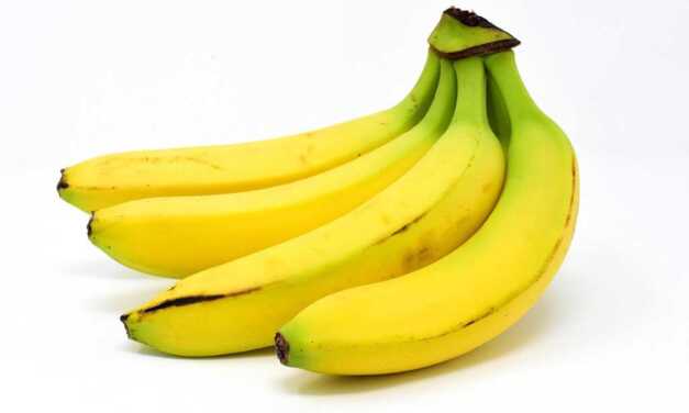 Potassium : Rôles et Bienfaits – Apports Journaliers et Sources