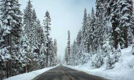 10 Astuces et Conseils pour Perdre du Poids en Hiver