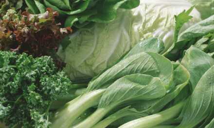 5 aliments magiques anti-diabète