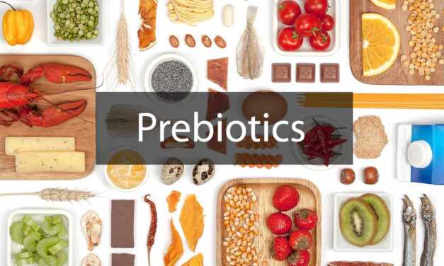 Prébiotiques : Types, Bienfaits, Apports et Sources