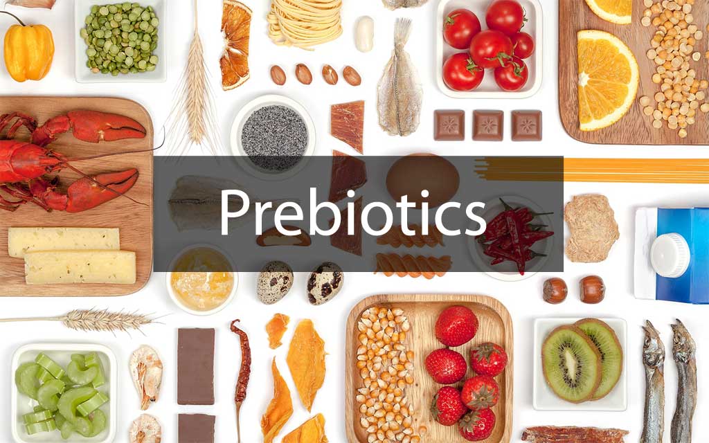 Prébiotiques : Types, Bienfaits, Apports et Sources