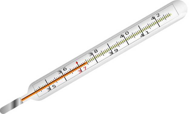 Guide d&rsquo;Achat : Quel Thermomètre Choisir ?