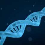 Guide Complet des Tests ADN