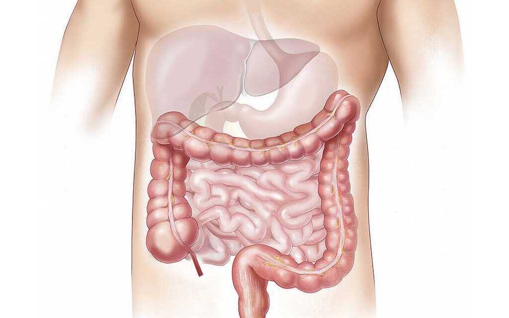 14 Conseils pour Améliorer l’Absorption des Nutriments