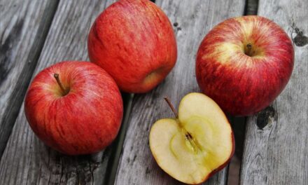 Pomme au Four pour Diabétiques : Un Délice Sain et Savoureux